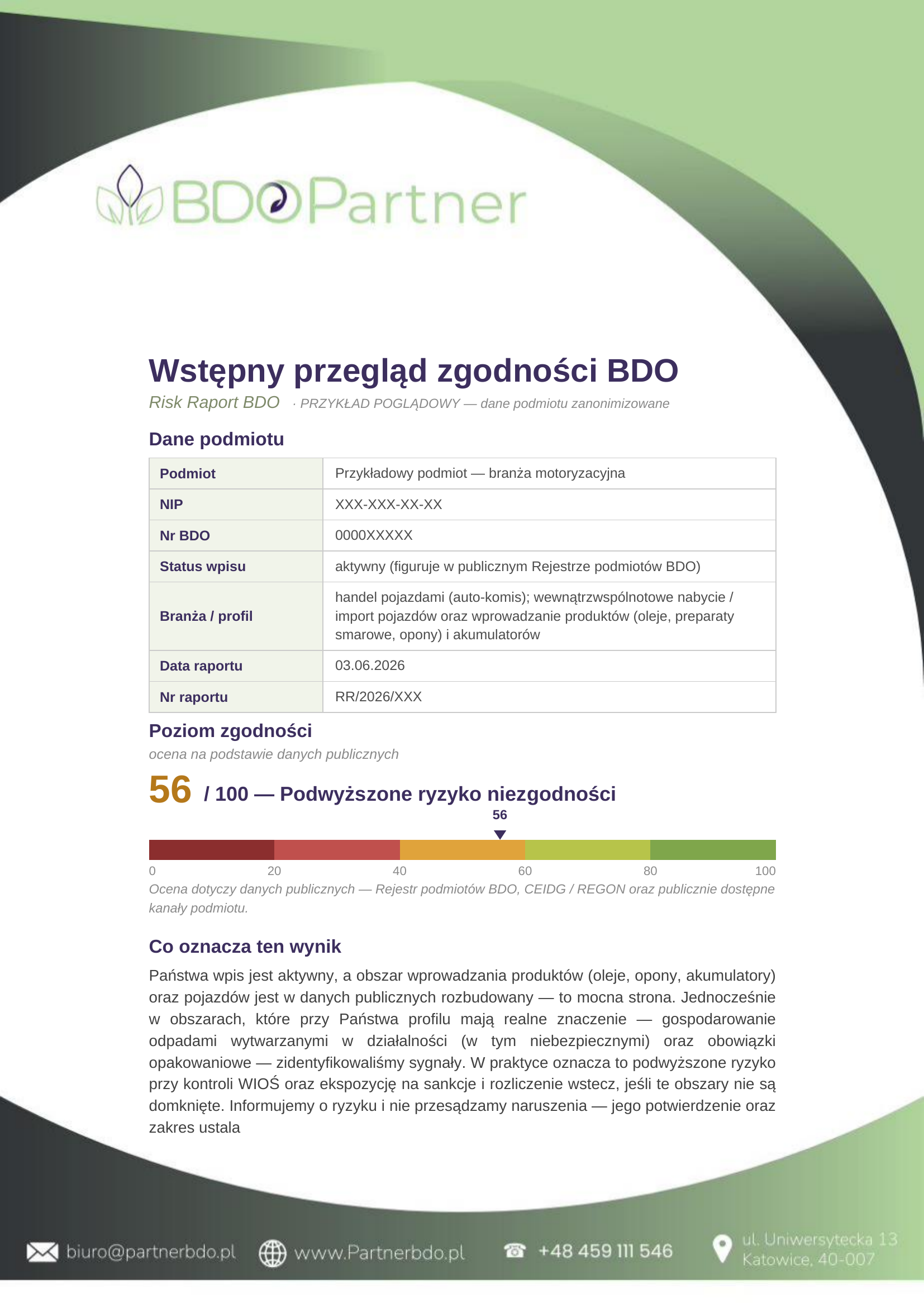 Przykładowy Risk Raport BDO — 3 strony